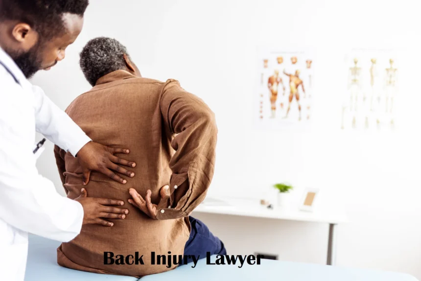 Why You Need a Back Injury Lawyer After an Accident