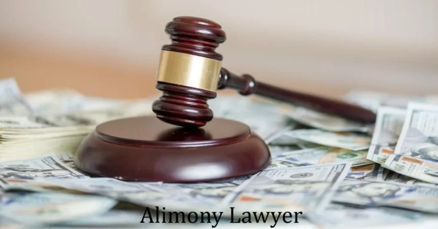 Alimony Lawyer Guide - Rights, Costs & Spousal Support