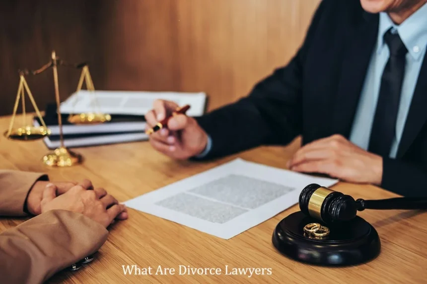 What Are Divorce Lawyers? Complete Legal Guide